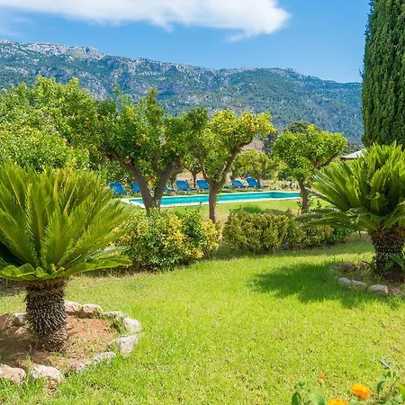 Massana Villa *